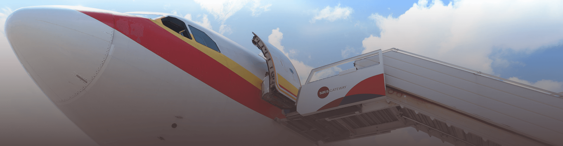 Career Path Development